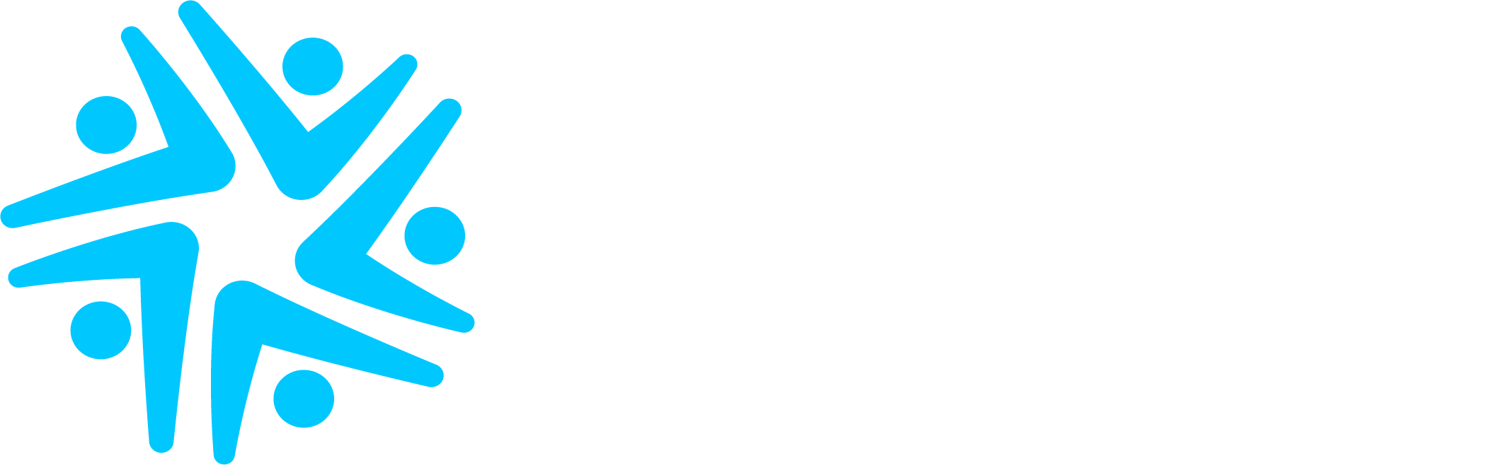 SoWiSo E.V.